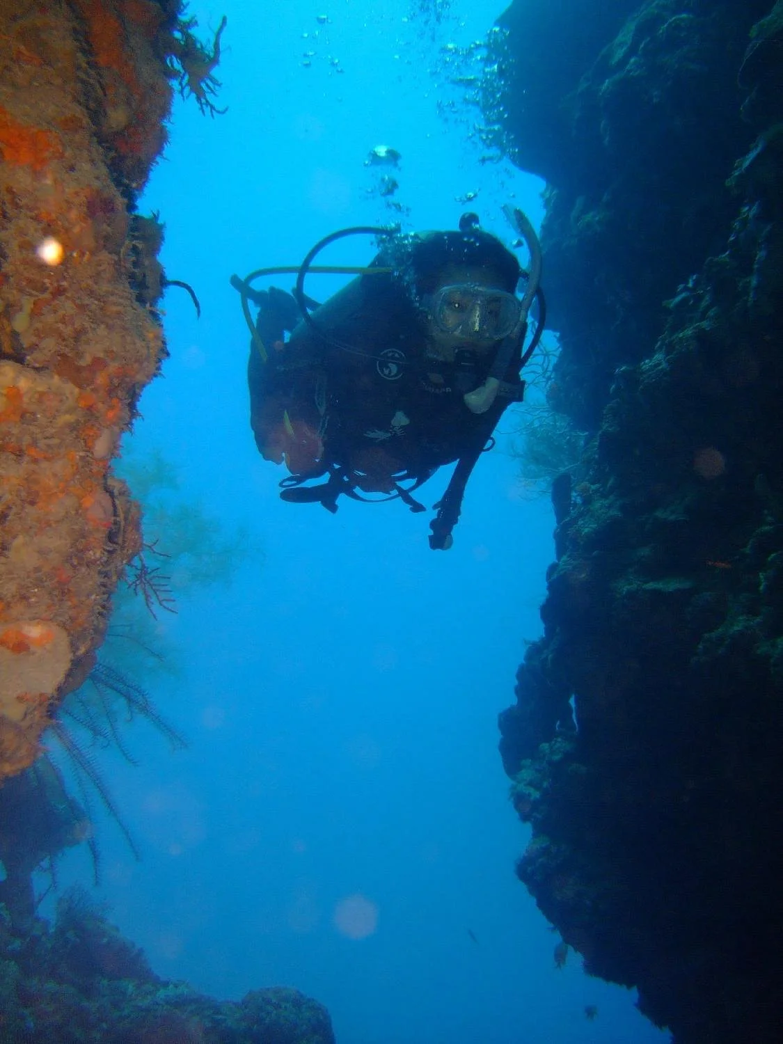 divedivedivebali