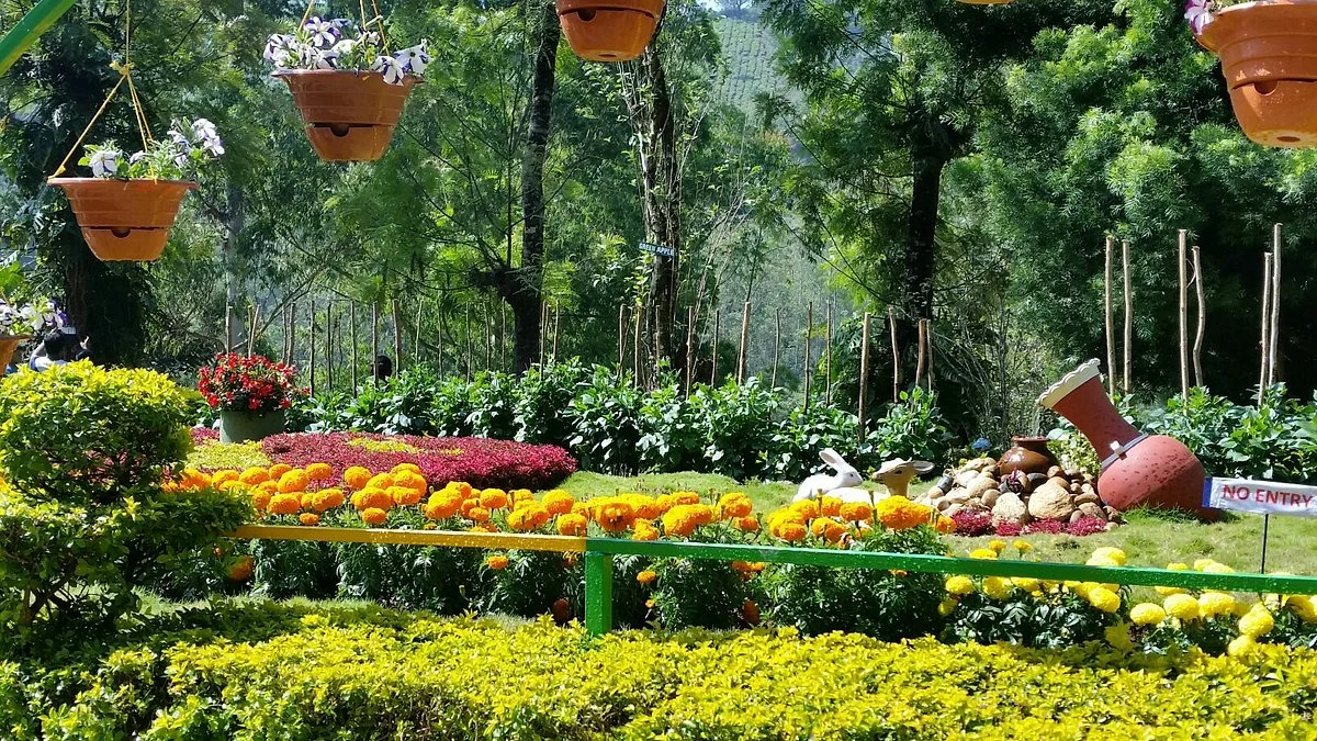 Rose Gardens