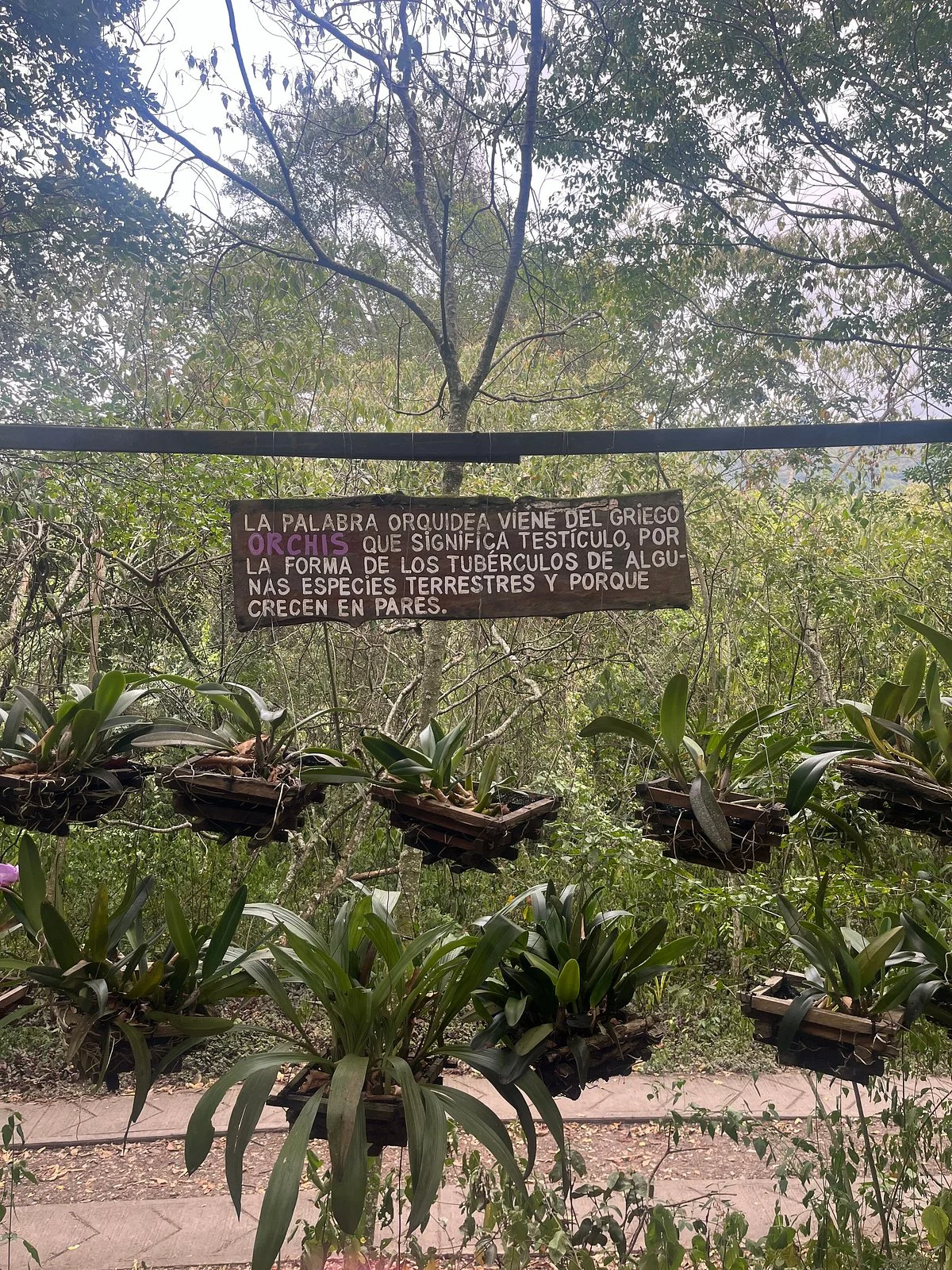 Agro Parque Sabio Mutis