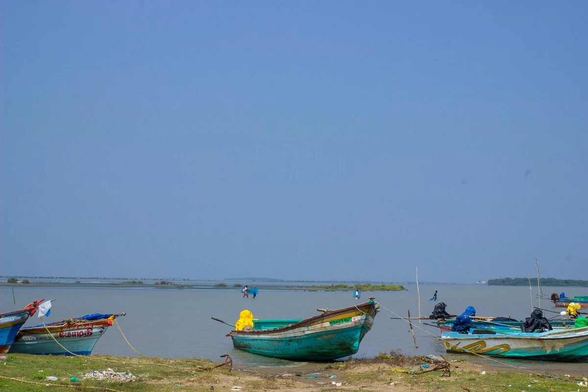 Kodikkarai Wildlife Sanctuary (Point Calimere)