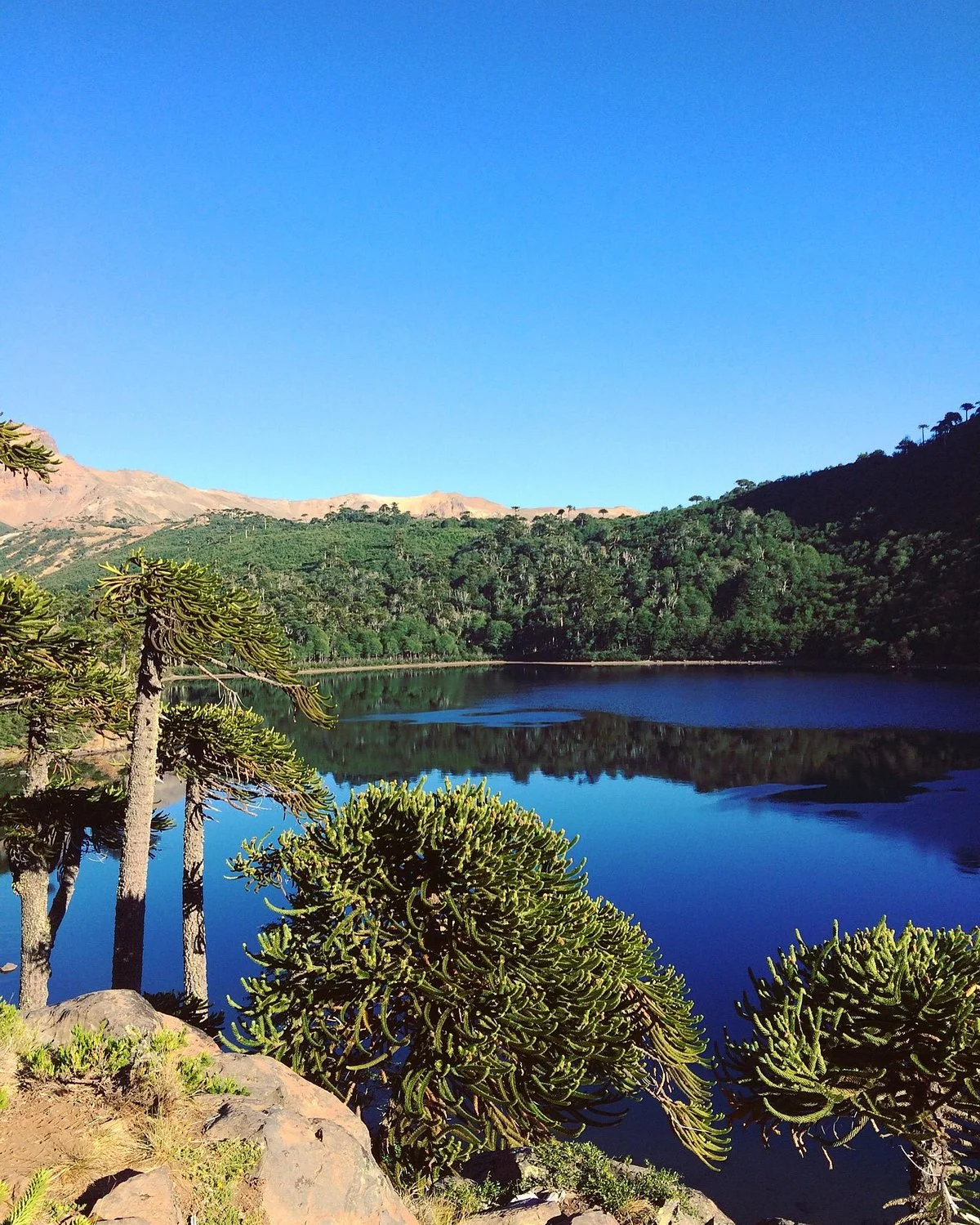 Laguna La Mula