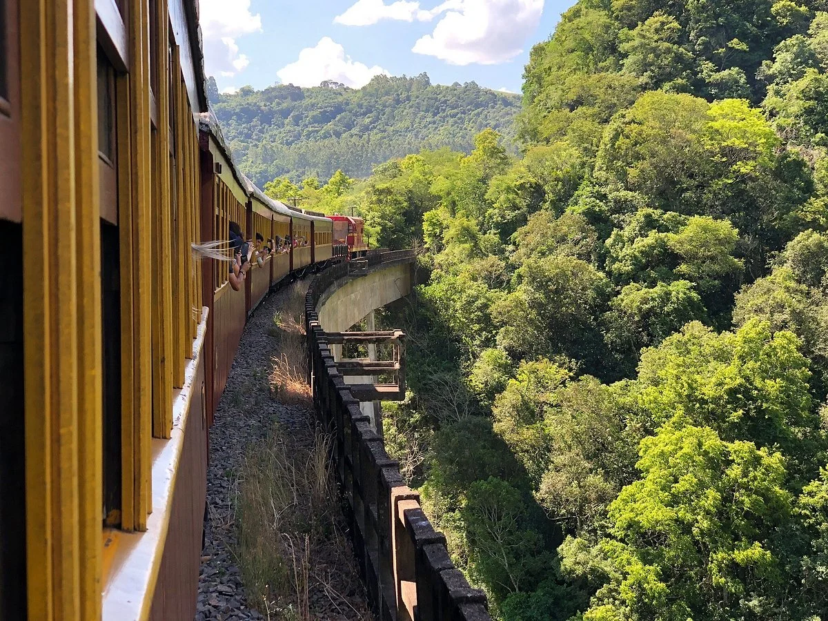 Mula Preta Viaduct