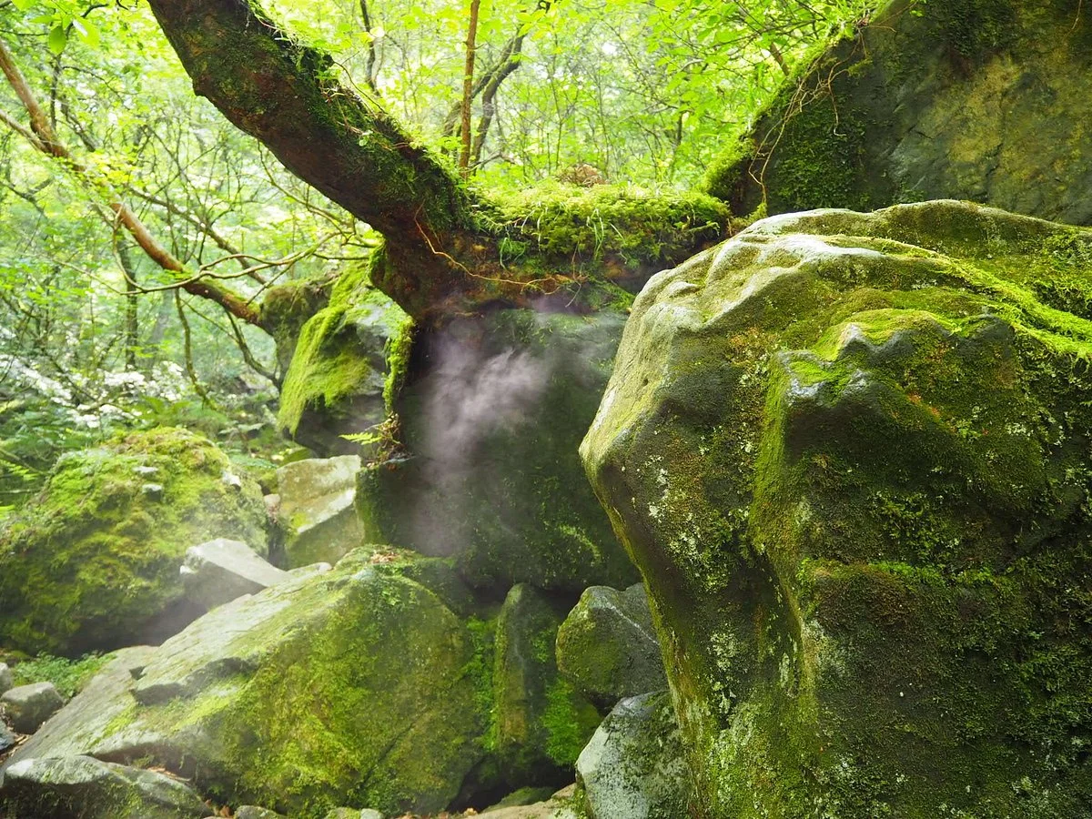 Kazaana - Kamihayashi Forest Park