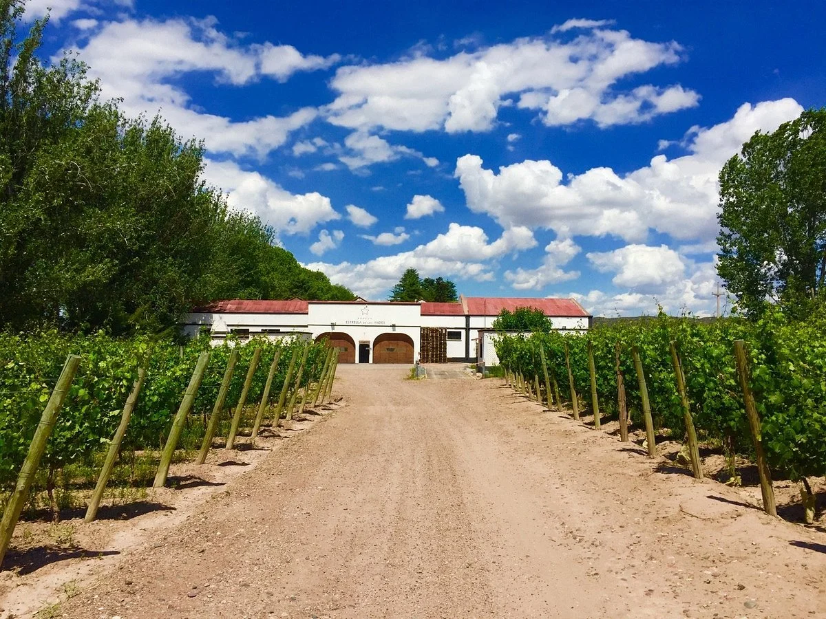 Bodega Estrella de Los Andes
