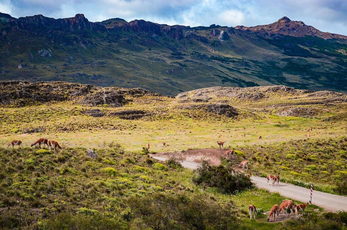 Patagonia National Park