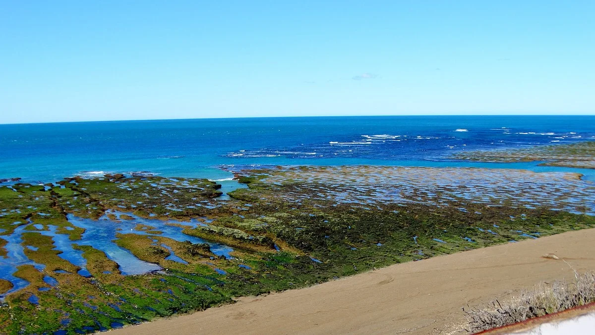 Punta Norte