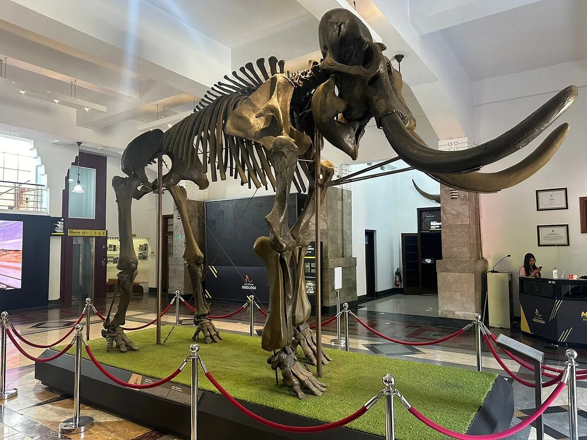 Geology Museum