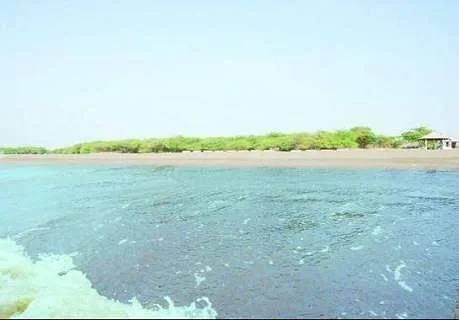 Ghogha Beach