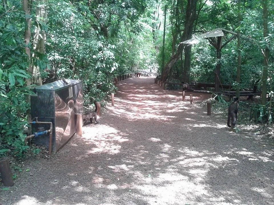 Biologa Tania Mara Netto Silva Ecological Park