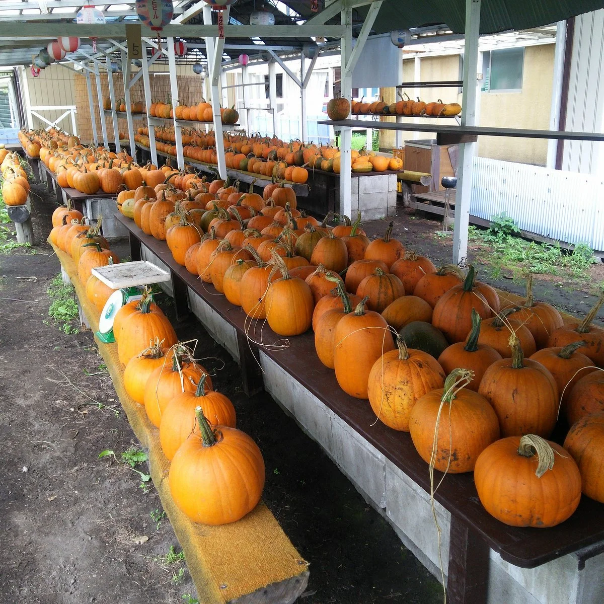 Ishida Kanko Farm