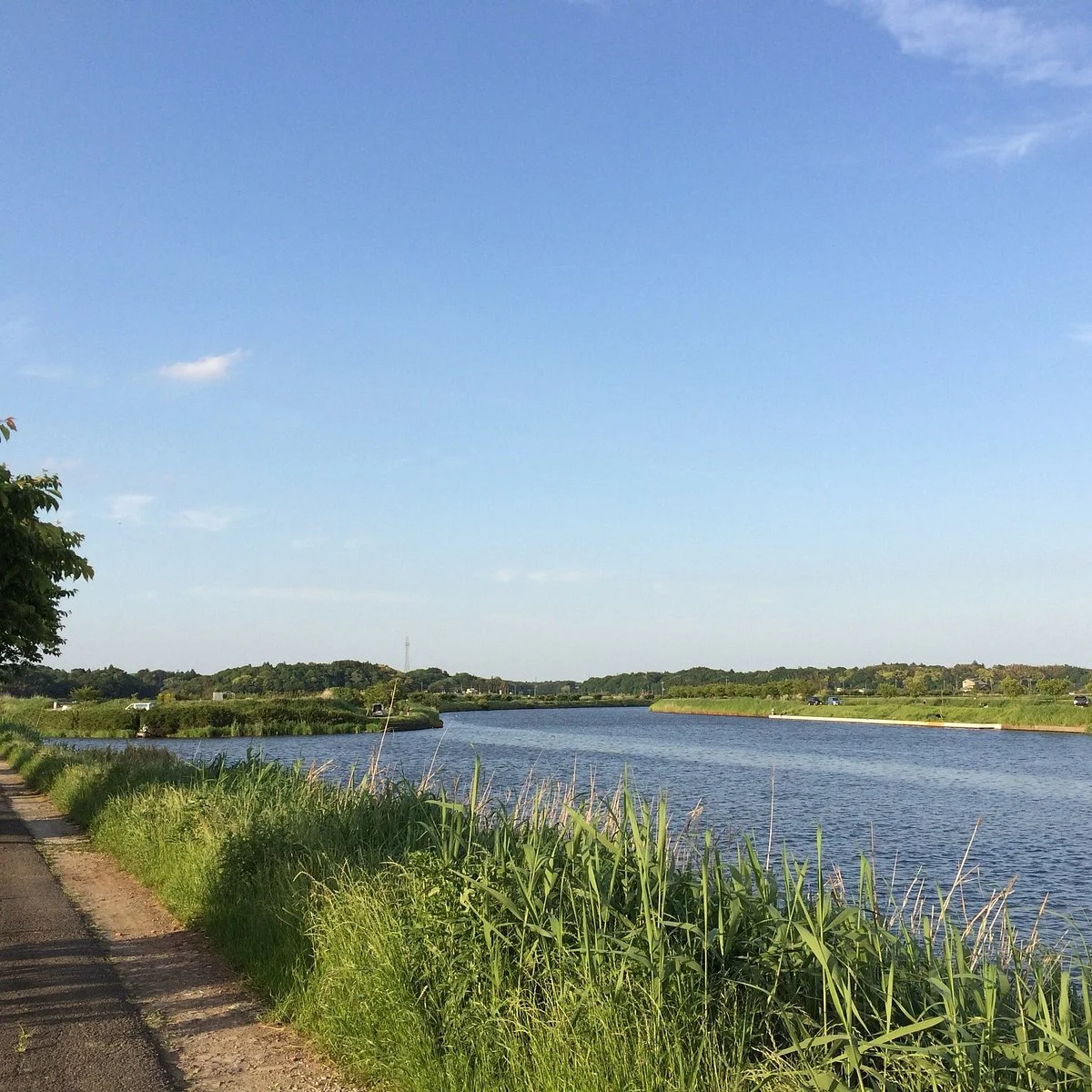 Michi-no-Eki Yachiyo