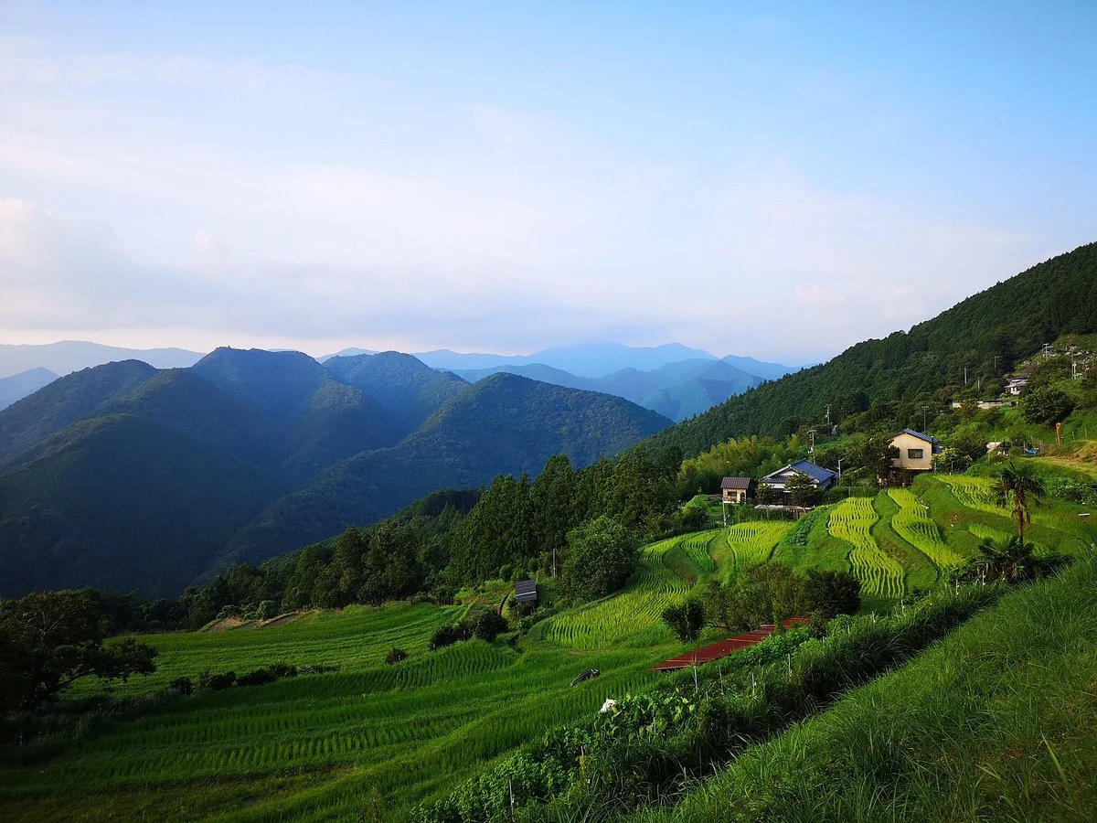 Takahara Kirinosato