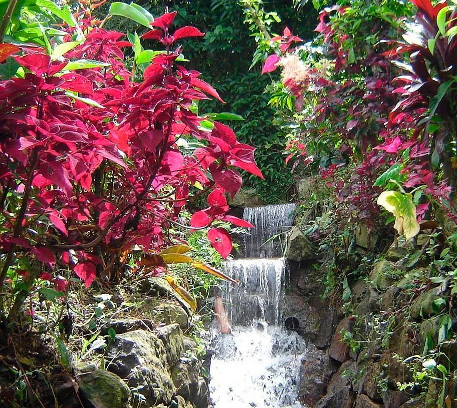 Parque Tematico Cafetero Finca la Pedregoza