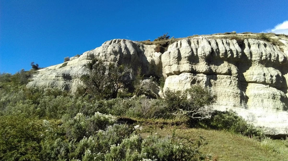 Cueva de La Leona