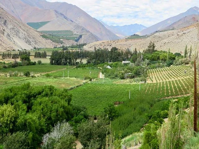 Cavas Del Valle
