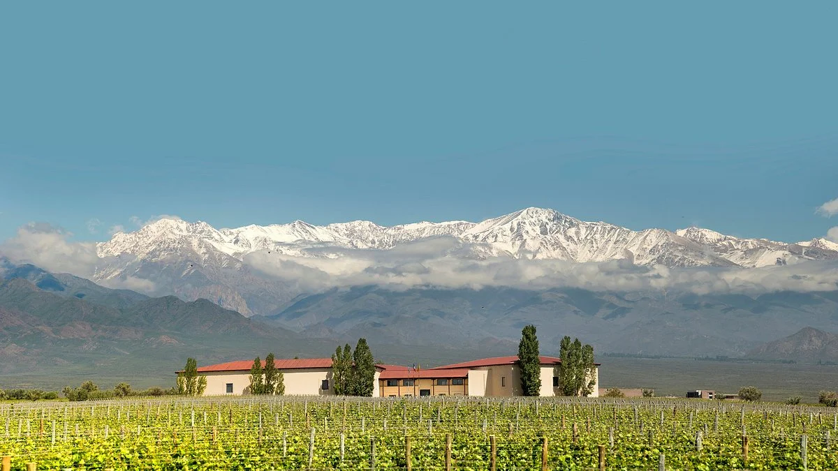 Cuvelier Los Andes