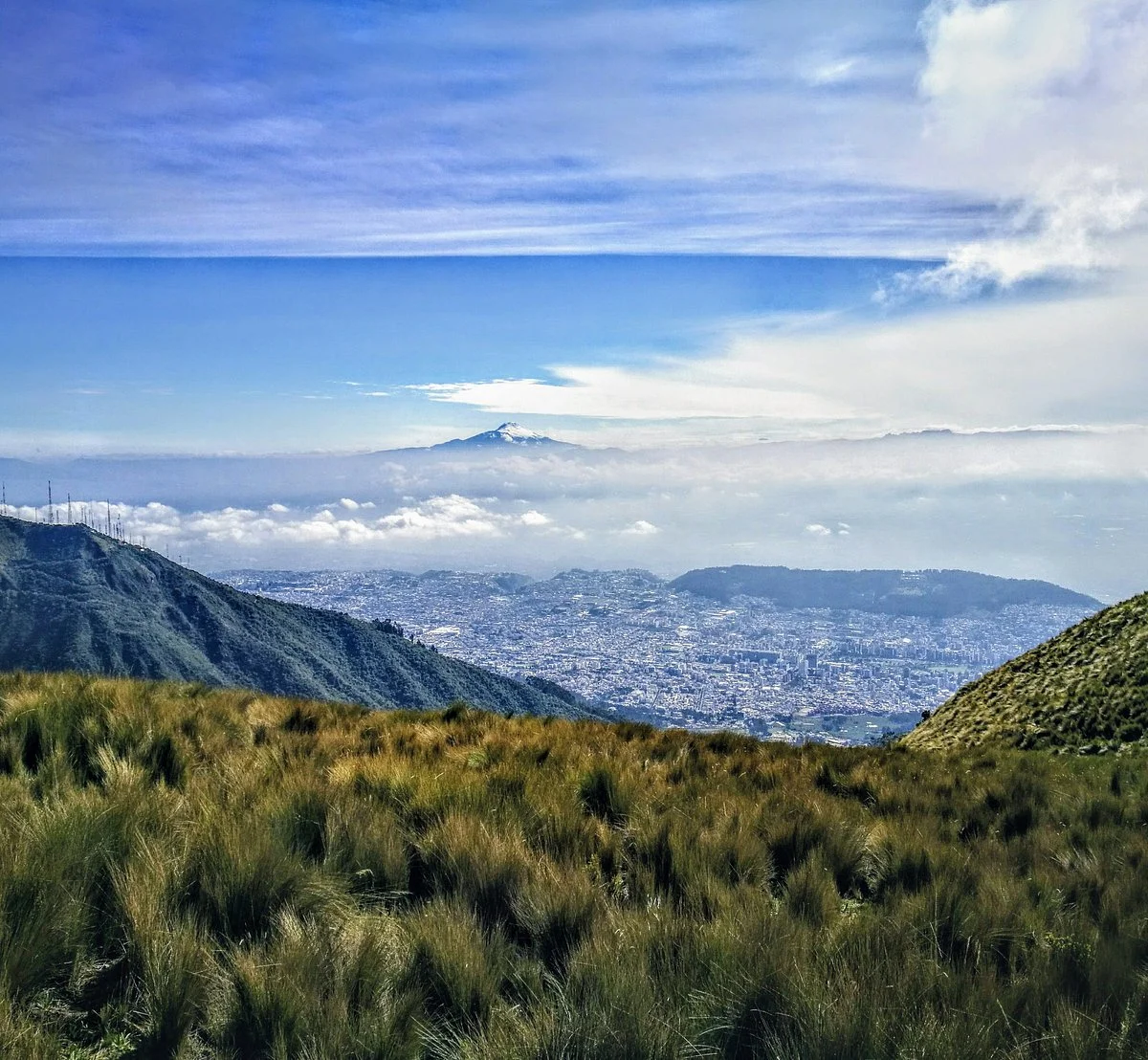 Rucu Pichincha