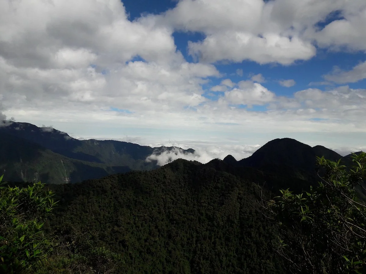 Yanacocha Reserve