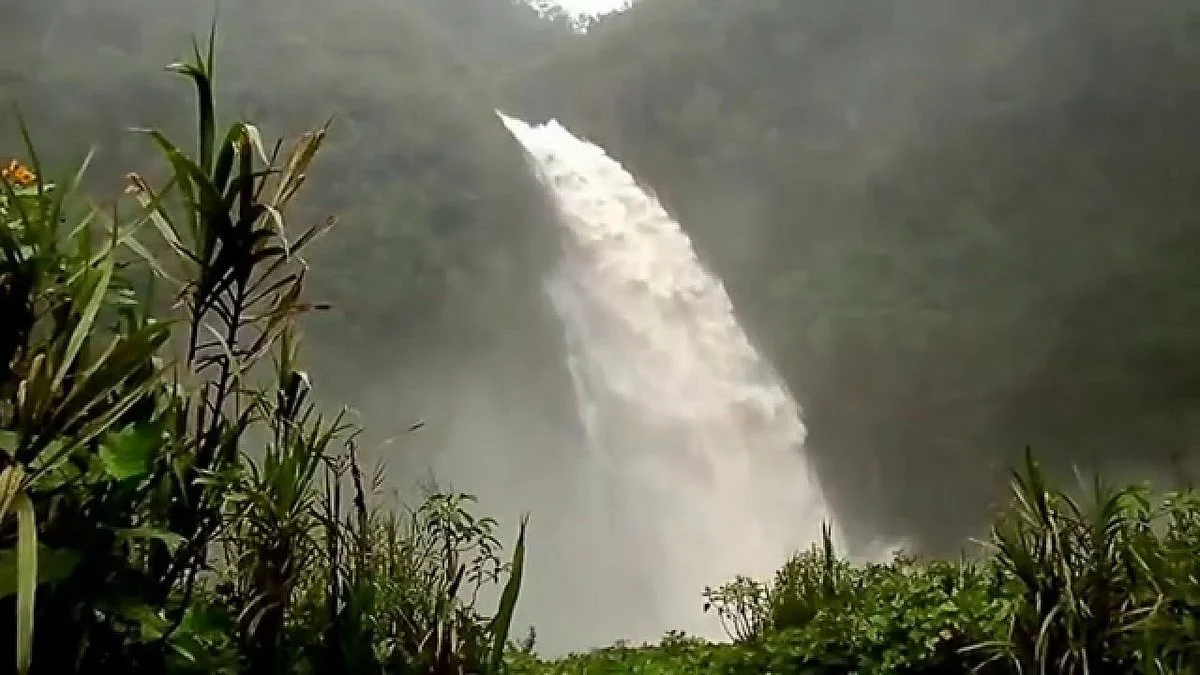 Cascada Magica
