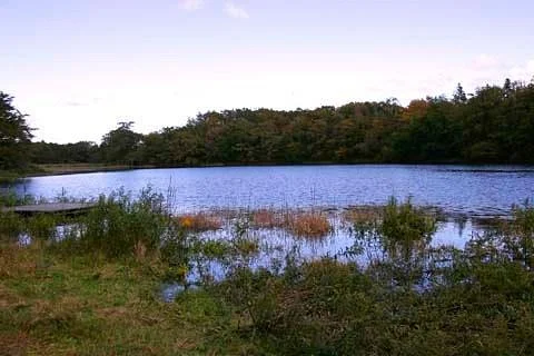 Kuchinashi Pond
