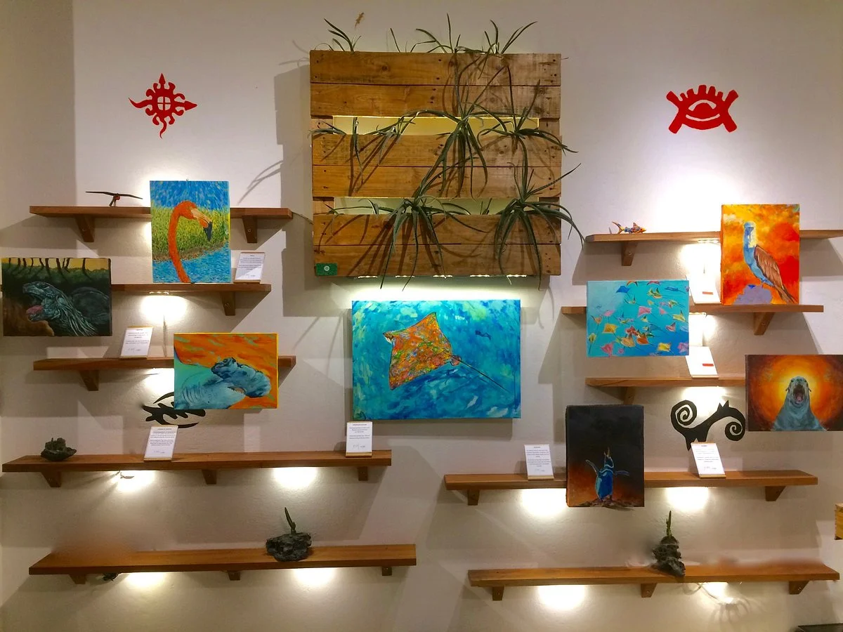 Galería Exótico Ecuador