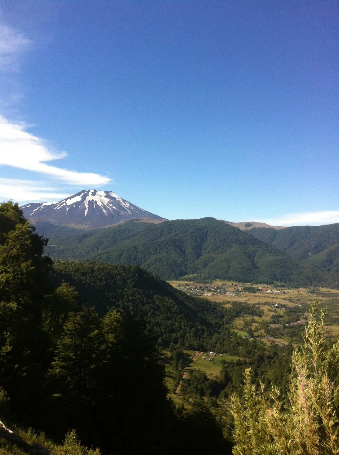 Reserva Nacional Malalcahuello - Nalcas