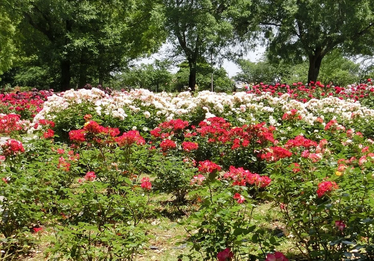 Amazaki City Agricultural Park