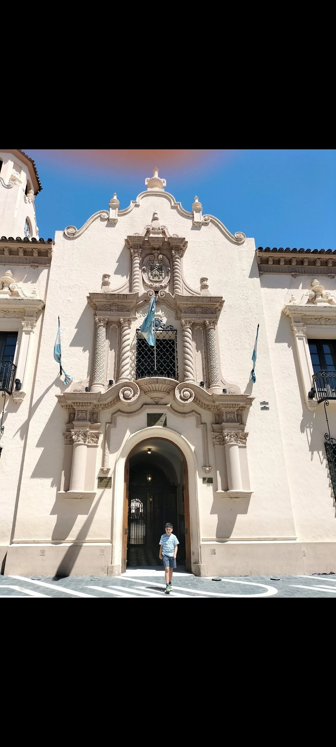 Municipal Palace (Lions Palace)