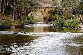 Ponte dos Papagaios