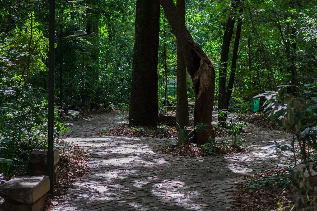 Bosque dos Italianos