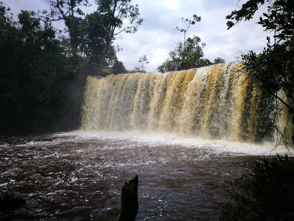 La Humeadora