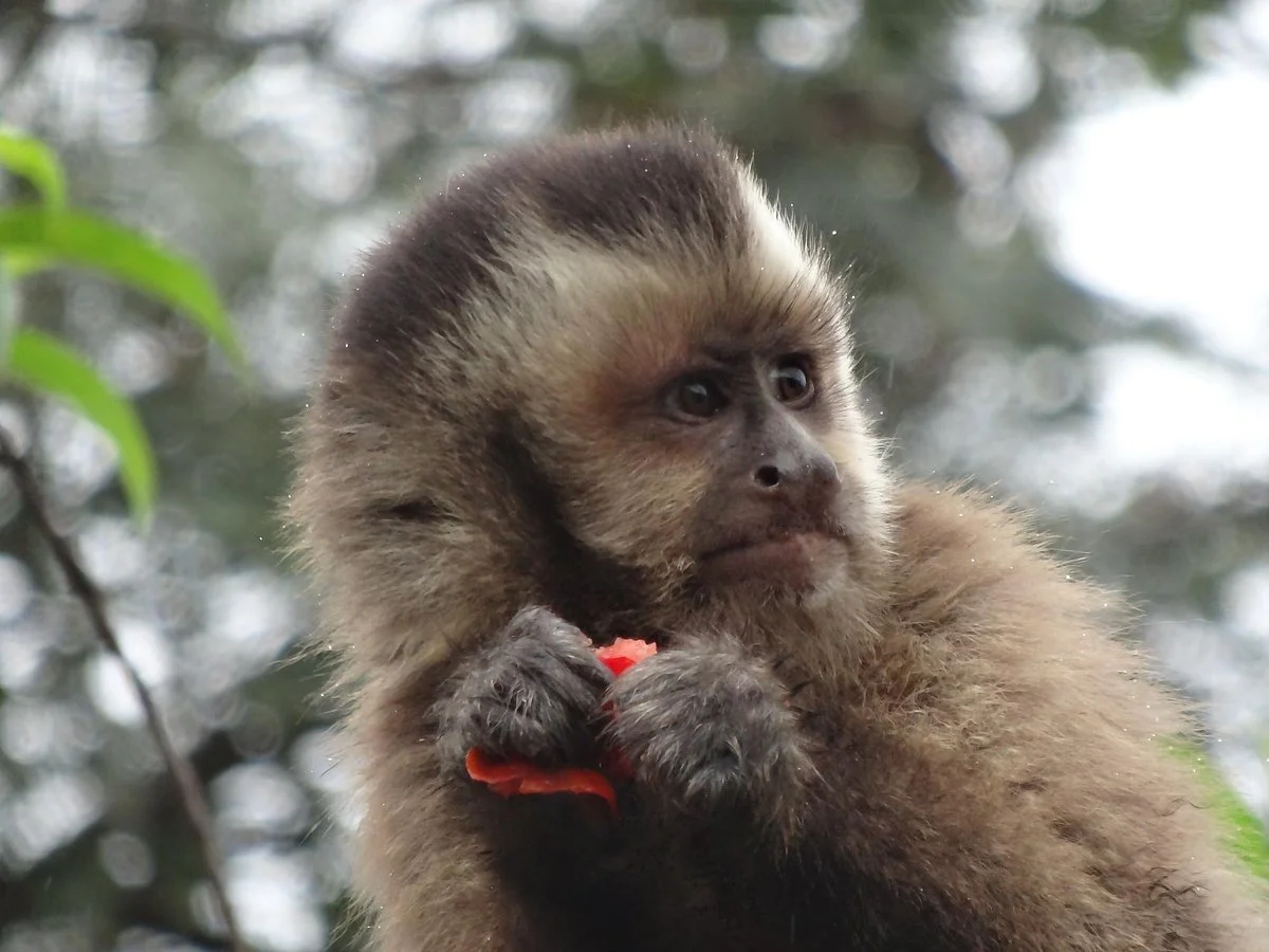 Refugio Zoologico