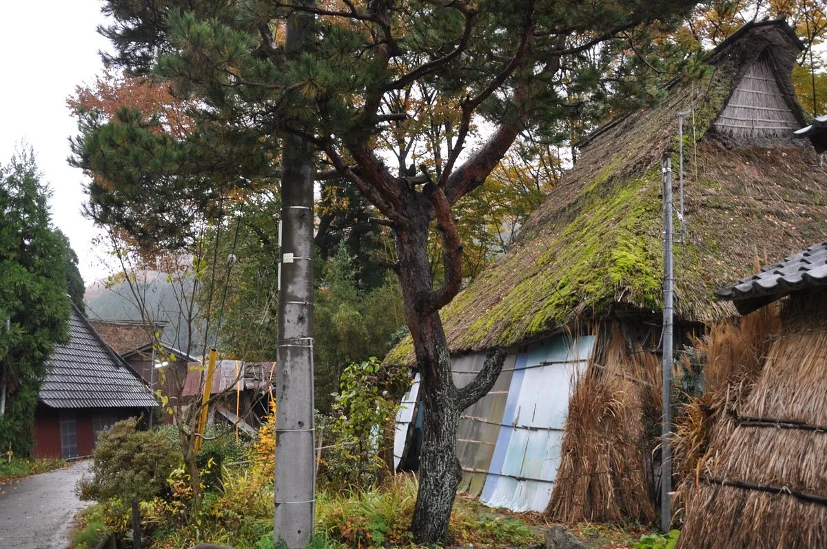 Arihara Village