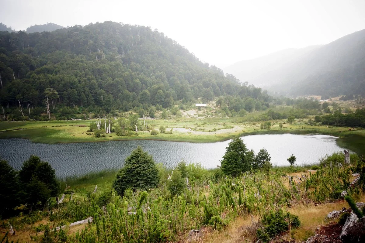 Laguna San Jorge