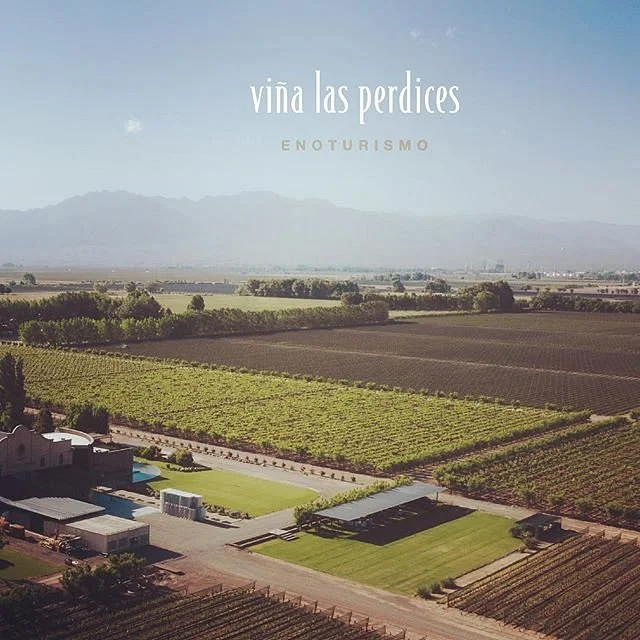 Vina Las Perdices