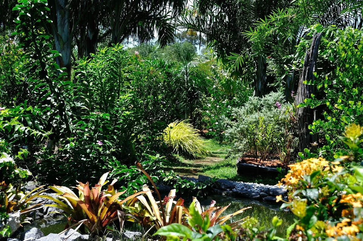 Jardin Botanique de Guyane