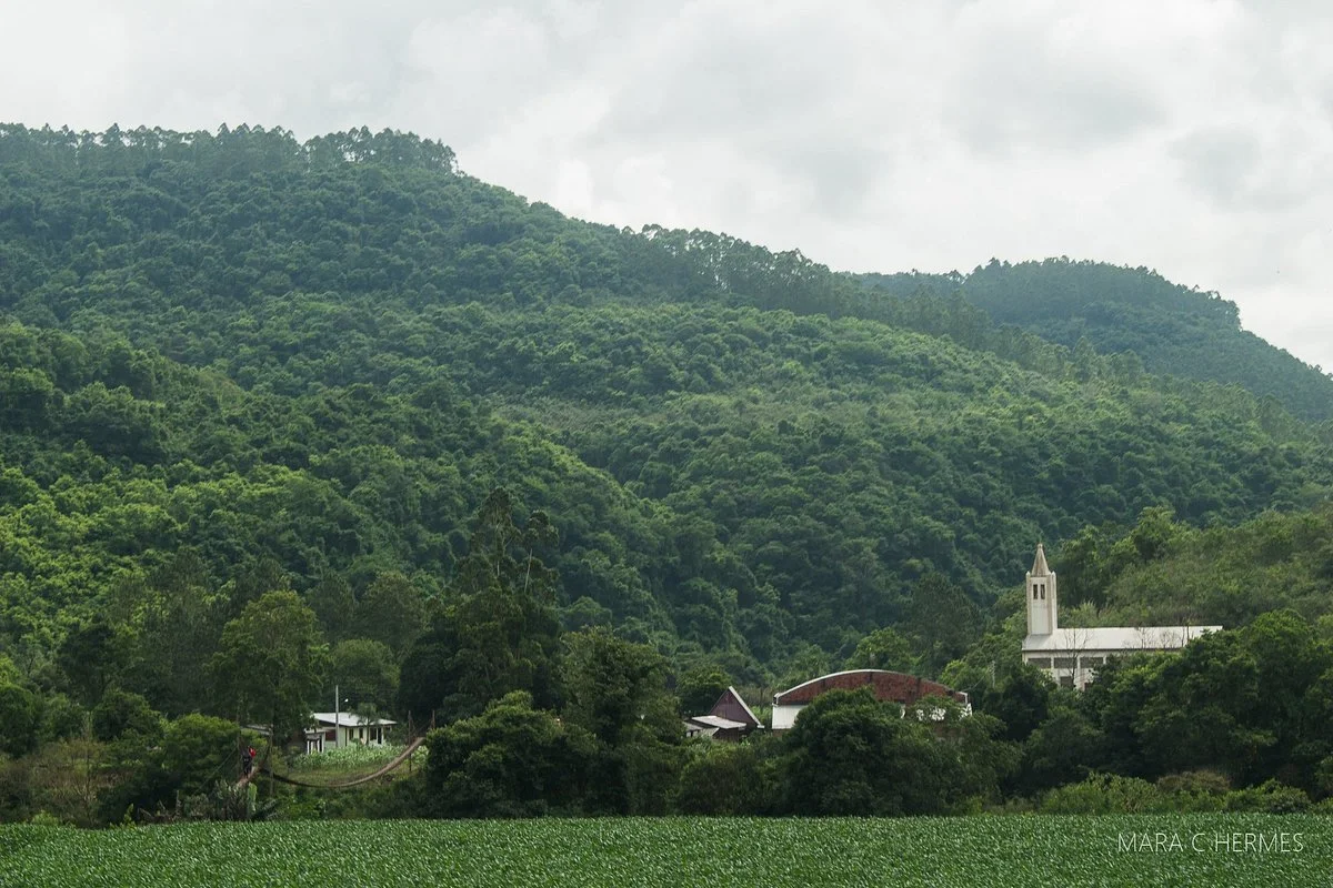 Pinguela