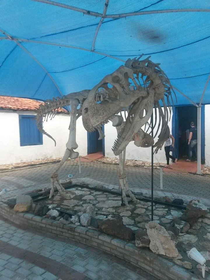 Casa Dom Aquino PreHistory Museum