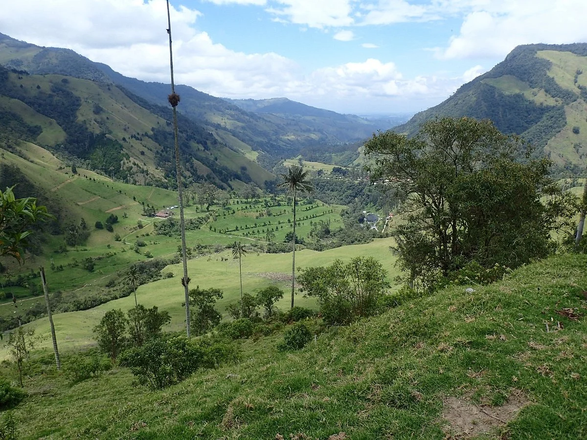 Los Nevados National Park