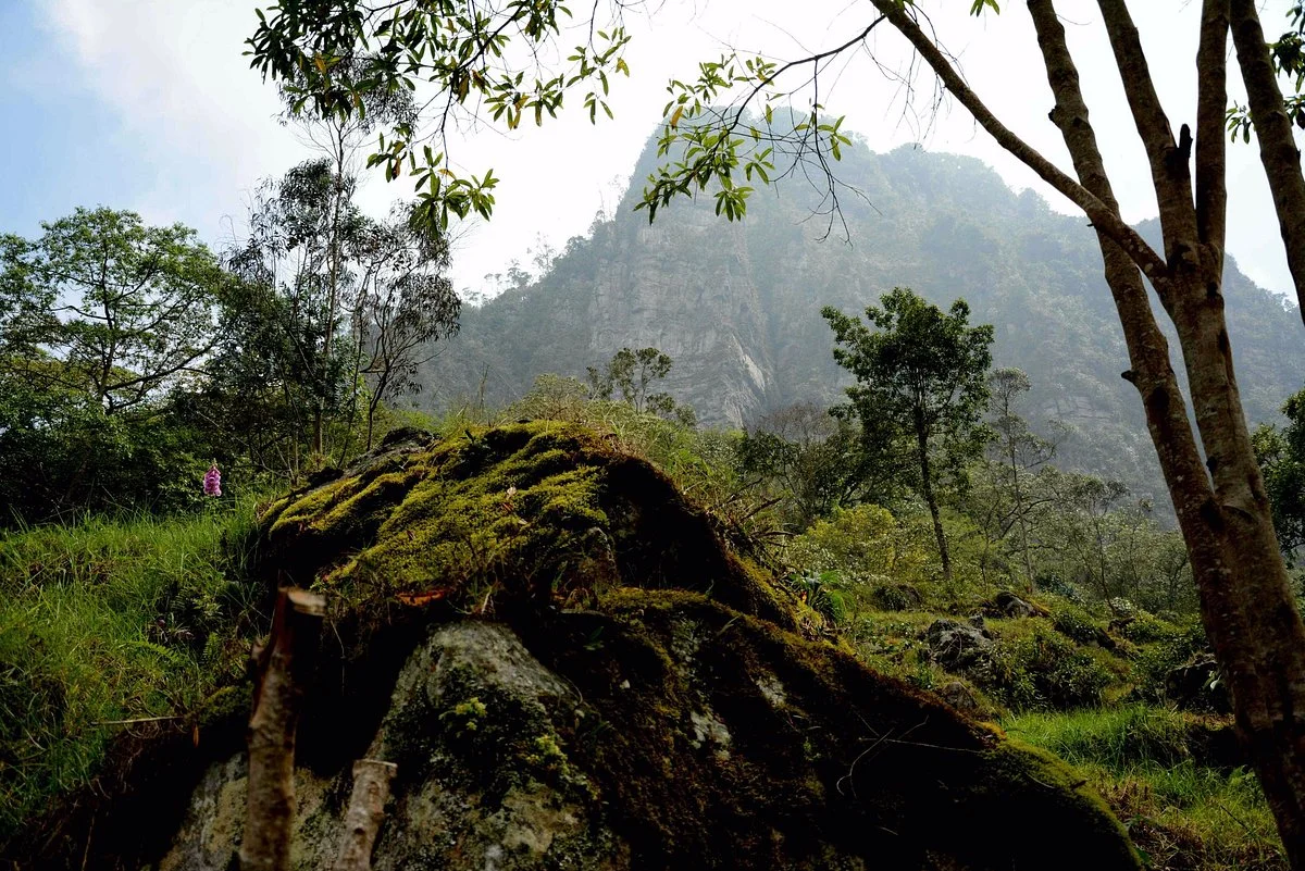 Parque Natural Los Tunos