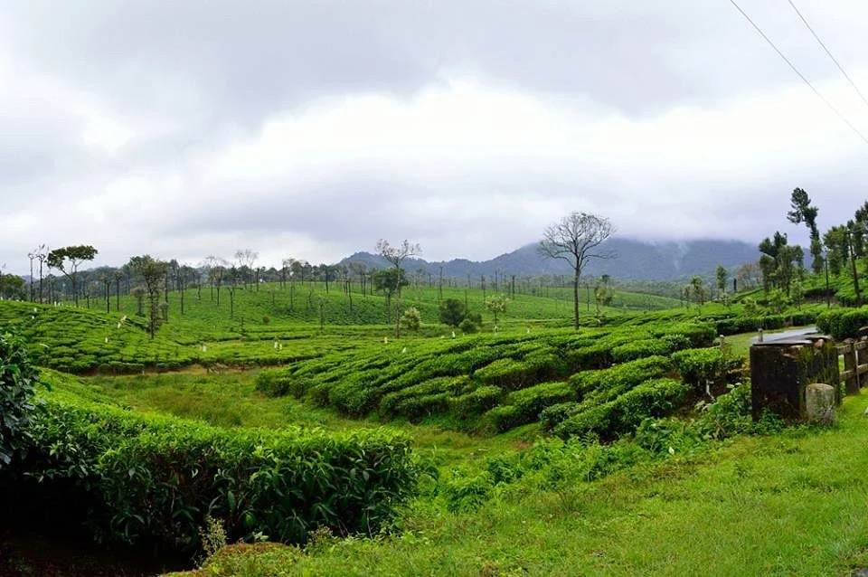Poabs Organic Estates