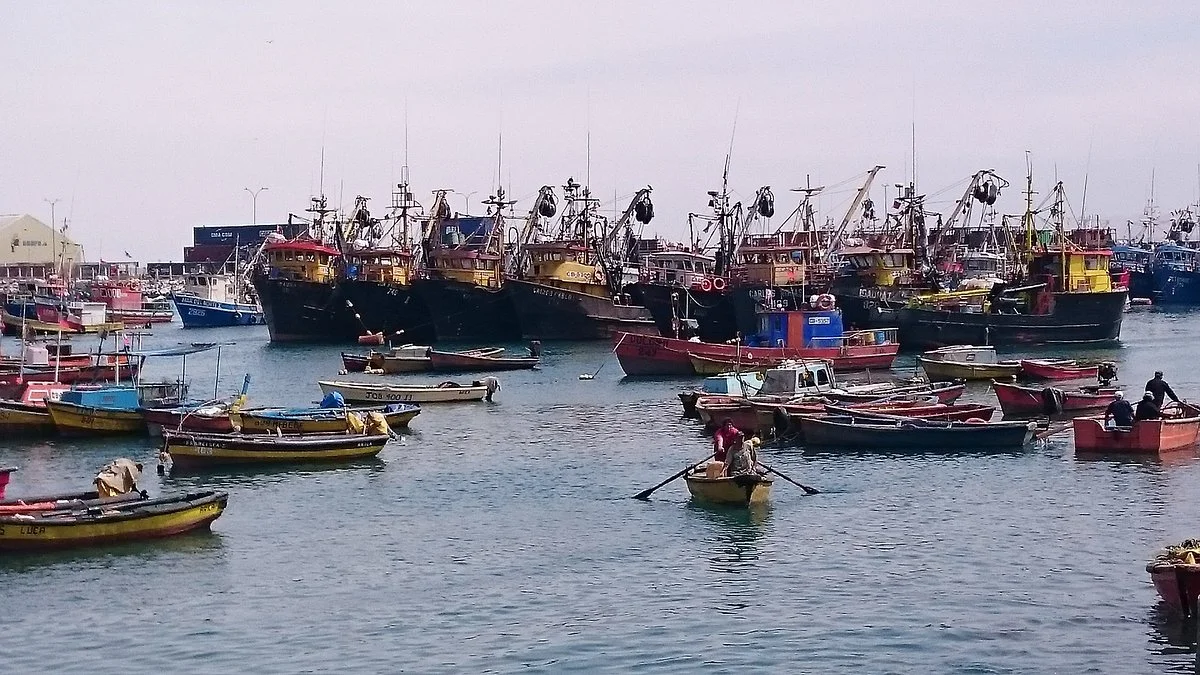 Arica Fish Market