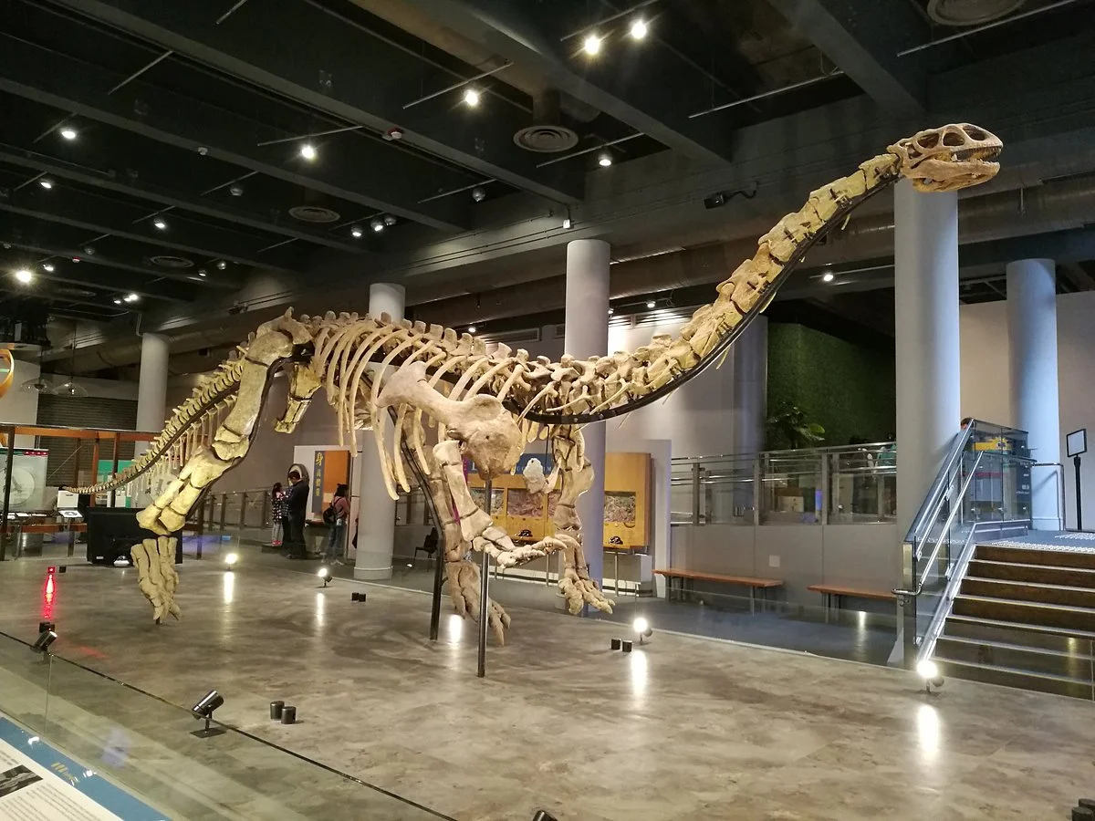 Hong Kong Science Museum
