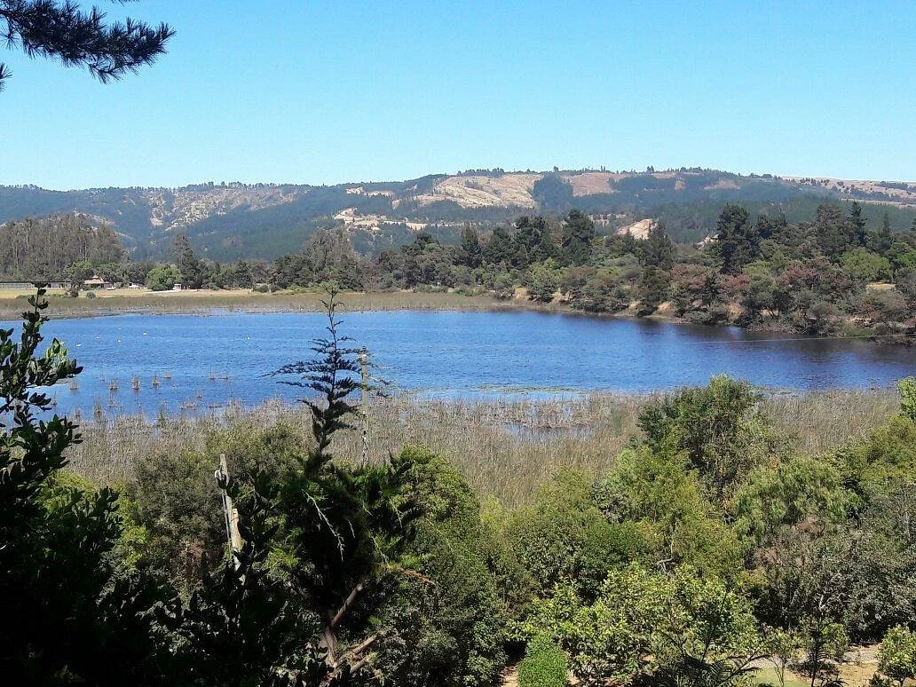 Reserva Nacional Laguna Torca