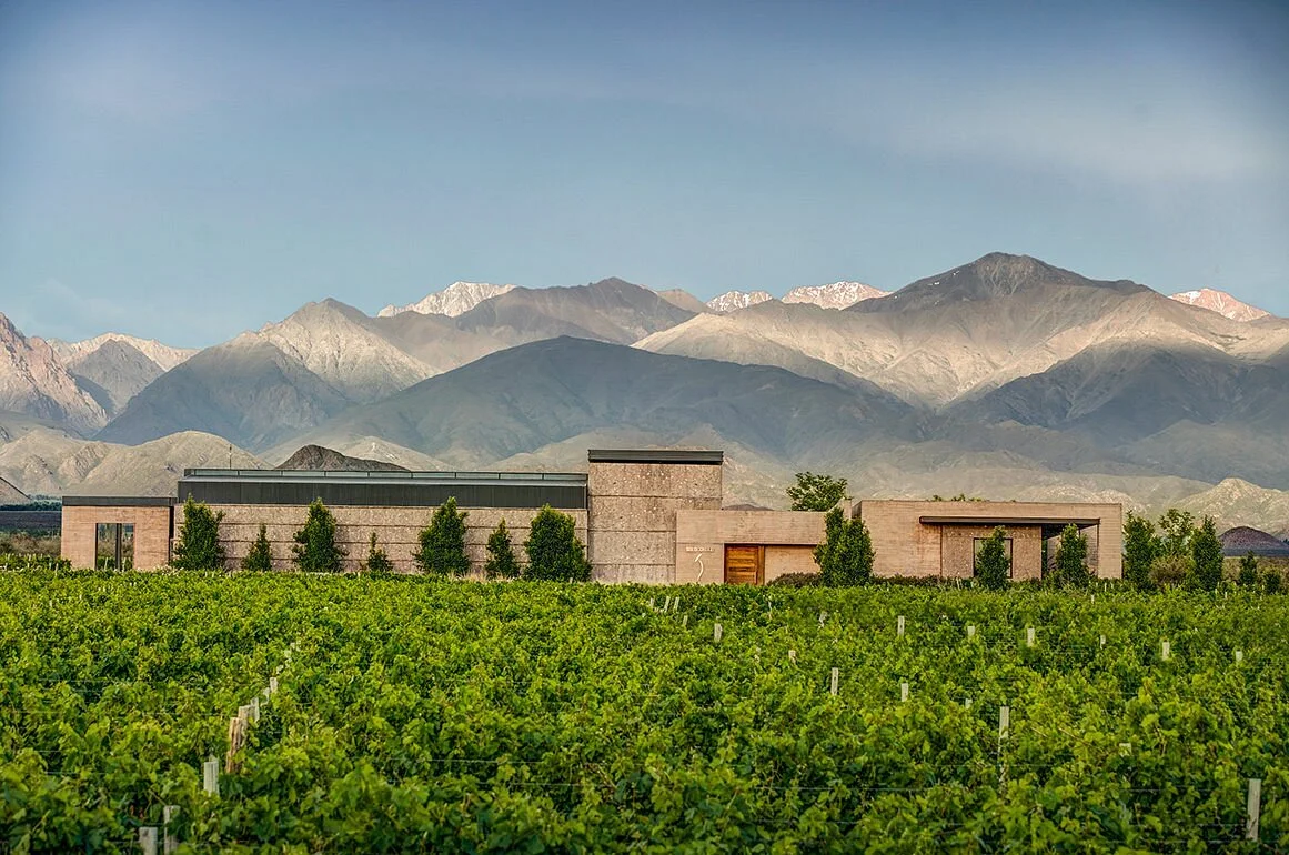 Solo Contigo Wines