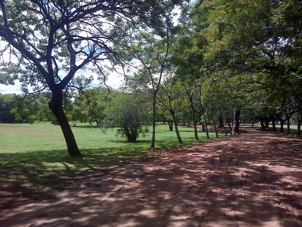 Parque Carlos Antonio Lopez
