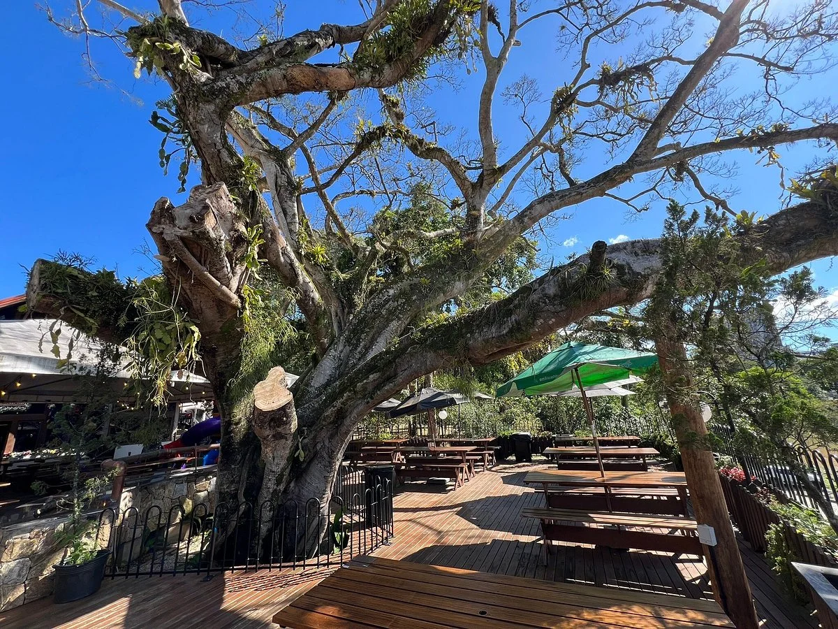 Praça Hercilio Luz