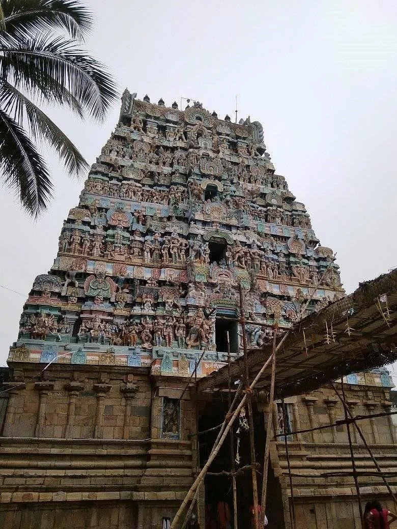 Arulmigu Naganathaswamy Temple Thirunageswaram