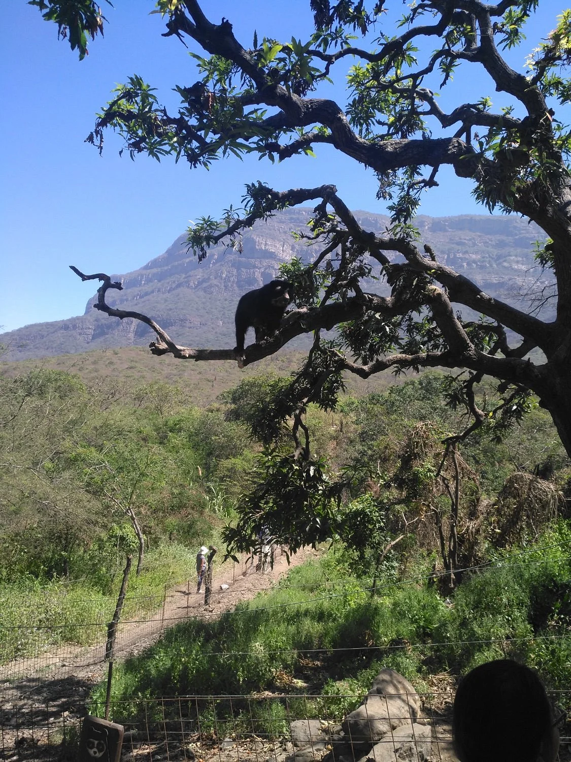 Reserva de Chaparri