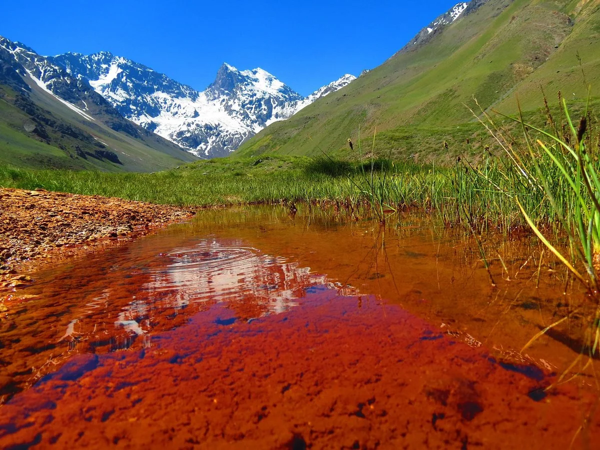 Aguas Panimavidas